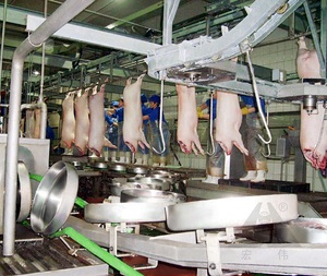 เครื่องฆ่า<span class=keywords><strong>หมู</strong></span>,เฟอร์นิเจอร์สำหรับโรงฆ่าสัตว์เครื่องฆ่าหมู - Product Image 4