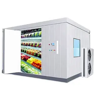 Chambre Pour Conteneur Solaire 40Ft Boîte De Porte Alimenté En Machine Mini Voiture Portable Fruits Et Légumes Panneaux De Sol 20Ft Stockage À Froid