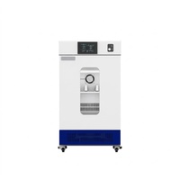 Incubateur à Agitation à Température Constante Grande Capacité, Chauffage Électrique, Écran LCD, pour Laboratoire