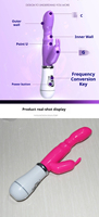 Großhandel 12-Gang Wasserdichter Vibrator Klitoris-Stimulator Vibrierender AV-Stick mit Eingebauter Batterie Sexspielzeug für Frauen