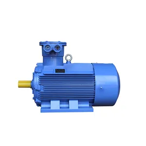 3 Phase Induction Motor 315 kw Explosion Proof Ip 55 Motor