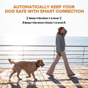 Wiederauf ladbarer elektronischer Hund Drahtloser Zaun Fern trainings halsband Smart Wireless Hunde zaun Schock halsband mit LED-Licht - Product Image 4