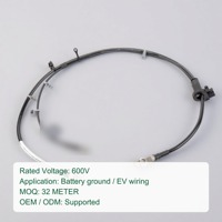 Câble négatif de batterie EV 600V, câble de terre de remplacement pour batterie automobile, OEM ODM pour câblage de véhicule