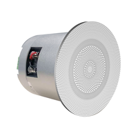 Système de son surround passif mini 8 ohms 2*20W, haut-parleur de plafond haute puissance, haut-parleur de plafond pour la musique d'ambiance à domicile, à l'hôtel