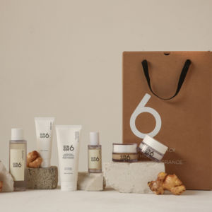 GINGER6 Vegan 6PCS Gift <b>Set</b> with Serum Toner Moisturizer Ideal <b>Skin</b> <b>Care</b> Kit for Hydration Glow and Repair Routine - Product Image 1