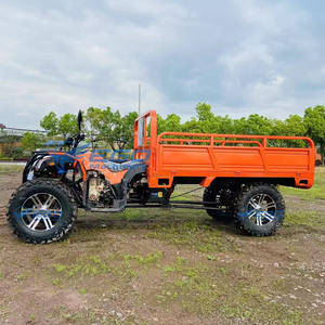 2025 Cool Design Mini Jeep électrique Jeep à quatre roues à essence Jeep classique à vendre - Product Image 6