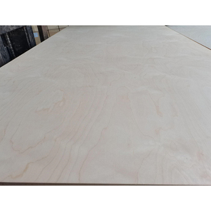 Lámina <span class=keywords><strong>de</strong></span> <span class=keywords><strong>Madera</strong></span> Contrachapada Marina Comercial <span class=keywords><strong>de</strong></span> Abedul Báltico Ruso <span class=keywords><strong>de</strong></span> 1220x2440mm, 18mm, 3mm, 15mm <span class=keywords><strong>para</strong></span> <span class=keywords><strong>Muebles</strong></span> - Product Image 1
