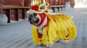 कुत्ते मजेदार फैशन कपड़े कुत्ते चीनी नए साल परिधान पालतू शेर नृत्य पोशाक
