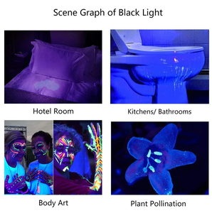 Rts Rechargeable 365nm UV LED lampes <span class=keywords><strong>de</strong></span> poche torche <span class=keywords><strong>de</strong></span> lumière noire pour l'urine <span class=keywords><strong>de</strong></span> chien et punaise <span class=keywords><strong>de</strong></span> <span class=keywords><strong>lit</strong></span> 395nm lampe <span class=keywords><strong>de</strong></span> poche UV - Product Image 3