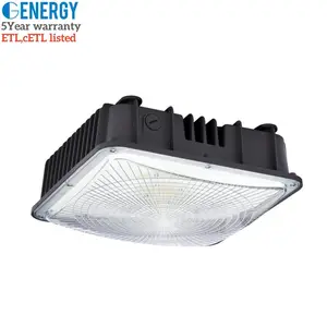 ไฟหลังคา LED 80W, 9600lm, 100-277VAC, ETL ที่ระบุไว้, แสงกลางวัน5000K, กันน้ำ IP65, โคมไฟ LED กลางแจ้งสถานีบริการน้ำมัน