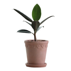 Haute qualité maison Gadern décoration succulente planteur <span class=keywords><strong>Pot</strong></span> <span class=keywords><strong>extérieur</strong></span> intérieur décoratif jardin balcon <span class=keywords><strong>terre</strong></span> <span class=keywords><strong>cuite</strong></span> Pots de fleurs - Product Image 6
