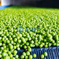 IQF Fluidized Bed Tunnelvriezer voor frieten, groenten, fruit en zeevruchten