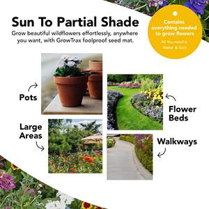 Growtrax Pollinator 40 pieds carrés Fournitures <span class=keywords><strong>de</strong></span> jardin Mélange <span class=keywords><strong>de</strong></span> fleurs sauvages modernes Tournesol <span class=keywords><strong>Zinnia</strong></span> Plante facile pour attirer les abeilles - Product Image 3