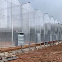 Grande serre agricole multi-chapelles en polycarbonate à toit arqué/Venlo avec système de bancs roulants à flux et reflux