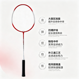 Raquette de badminton en graphite intégral légère 4U pour les joueurs de club, contrôle et performance - Product Image 4