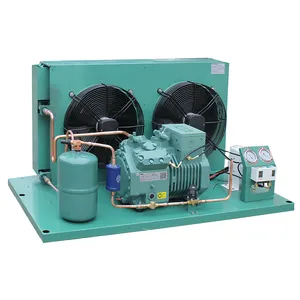 3HP 5HP 12HP 20HP 40HP Unit kondensor pendingin udara pendingin ruang dingin dengan kompresor Evaporator