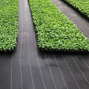 Toile de paillage agricole <span class=keywords><strong>en</strong></span> plastique pour pépinières, anti-mauvaises herbes, pour le marché europé<span class=keywords><strong>en</strong></span> - Product Image 2