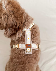 Maßgeschneidertes Haustiergeschirr in Hellbeige mit Goldenen Metallschnallen und Süßer Dekoration mit Gelben Punkten, Hundegeschirr aus Oxford-Mesh-Gewebe - Product Image 3