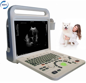 Échographe vétérinaire <span class=keywords><strong>Rayman</strong></span> 15 pouces Échographe vétérinaire Échographe Doppler couleur portable - Product Image 1