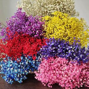 Flores Naturales de Gypsophila, Flores Secas y Preservadas de Baby Breath, Decoración para Bodas en Casa, Venta de Fábrica, <span class=keywords><strong>Cielo</strong></span> Estrellado Real - Product Image 1