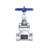 Vanne à globe cryogénique à tige courte DJ-25G, raccord à souder DN25