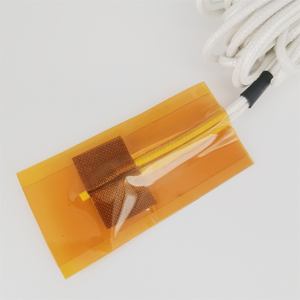 جهاز استشعار درجة حرارة الهواء بسلكين أو ثلاثة أسلاك، مقياس حرارة البلاتين ذو المقاومة المزدوجة <span class=keywords><strong>PT100</strong></span> - Product Image 6