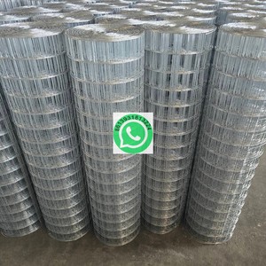 0.6mm <b>Wire</b> Diameter Square Galvanized Welded Iron <b>Wire</b> <b>Mesh</b> with 15mm Hole Size - Product Image 2