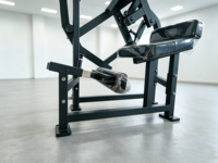 Machine d'extension dorsale commerciale à charge par poulie, équipement de gym professionnel pour l'entraînement de la force du bas du dos en fitness