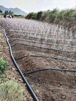Système d'Irrigation par Micro-Pulvérisation pour Jardin Prix Usine
