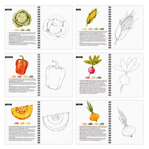 Kit de Peinture <span class=keywords><strong>Aquarelle</strong></span> Personnalisé OEM – 12 Couleurs – Cahier de Coloriage – Idéal pour Débutants – Pour Adultes et Adolescents - Product Image 5