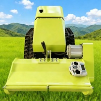 Tondeuse à gazon robotisée de type fléau télécommandée, 800 mm de large, tout-terrain, machine de débroussaillage et de tonte agricole et forestière