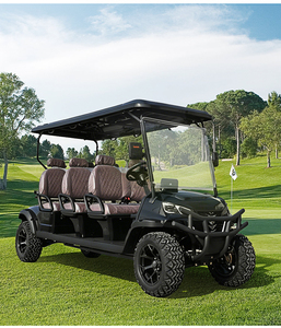Carrito de <span class=keywords><strong>Golf</strong></span> Eléctrico con Tracción en Todas las Ruedas, Venta Directa de Fábrica, Garantía de Calidad - Product Image 6