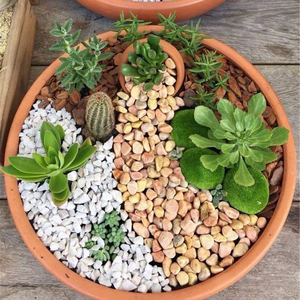 Venta caliente Natural River Rock Paisajismo Guijarros Flat River Stones - Product Image 2