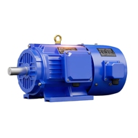 Moteur à fréquence variable triphasé série YVF 0,75 kW-315 kW, faible vibration et faible bruit, pour convoyeurs et machines d'emballage