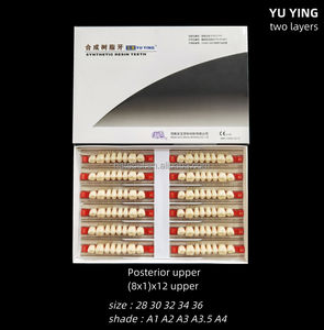 Dentaire supérieure et inférieure postérieure résine synthétique 2 couches résine acrylique dents résine prothèse dentaire - Product Image 2