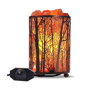 Lámpara de Sal del Himalaya Cuadrada con Diseño de Hoja Tallada y Cesta de Hierro para Decoración del Hogar - Product Image 6