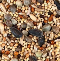 Nutrition naturelle sans grain mélange d'aliments pour animaux de compagnie graines de millet santé pour oiseaux sauvages perruche perroquet pinson canari chatons chiots