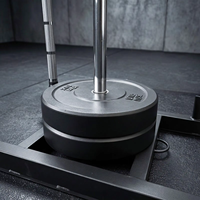 Fitstyle Fitness Carrosse de résistance mécanique professionnel en métal avec système de traction et ensemble d'haltères unisexe