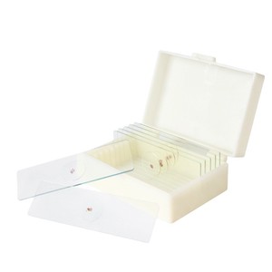 Exemplaires de terminaisons nerveuses, lamelles de verre, plaques terminales, expériences pédagogiques biologiques, lamelles biologiques transparentes. - Product Image 1