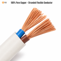 Câble électrique plat ignifuge ZR RVVB en PVC isolé, fil de cuivre nu flexible 300-500V, conforme RoHS et CCC, approvisionnement en vrac