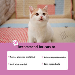 Diffuseur apaisant pour chat de qualité supérieure, diffuseur apaisant aux phéromones félines pour chat, kit de diffuseur apaisant personnalisable pour chat - Product Image 5