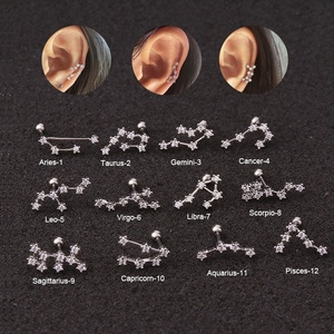 Großhandel Schmuck Niedlichen Edelstahl Ohr Piercing <span class=keywords><strong>Stud</strong></span> CZ Zwölf Knorpel Helix Rook Lobe Screw Back Ohrring - Product Image 2
