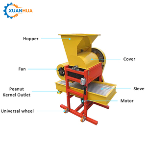 Máquina Descascaradora de Nuez de Palma y Nuez Pecana con Motor, Capacidad de 300-400 kg/h, Gran Venta - Product Image 4