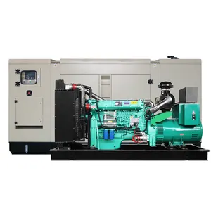 IDINGXIN top quality biogas/natural gas generators set water cooled small engine natural gas energy generators set