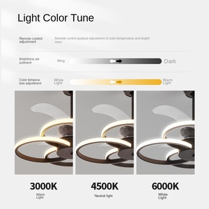 Ventilador de techo LED de estilo nórdico creativo de estilo tradicional redondo con luz para dormitorio, sala de estar, lámpara de ventilador de techo LED moderna - Product Image 2