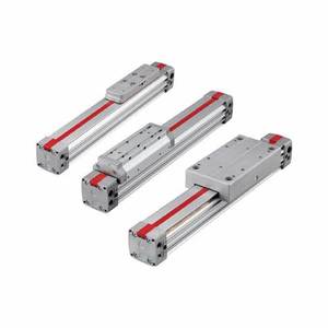 ราคาดี M/146240/M/800 กระบอกสูบไร้ก้าน LINTRA PLUS - Product Image 4