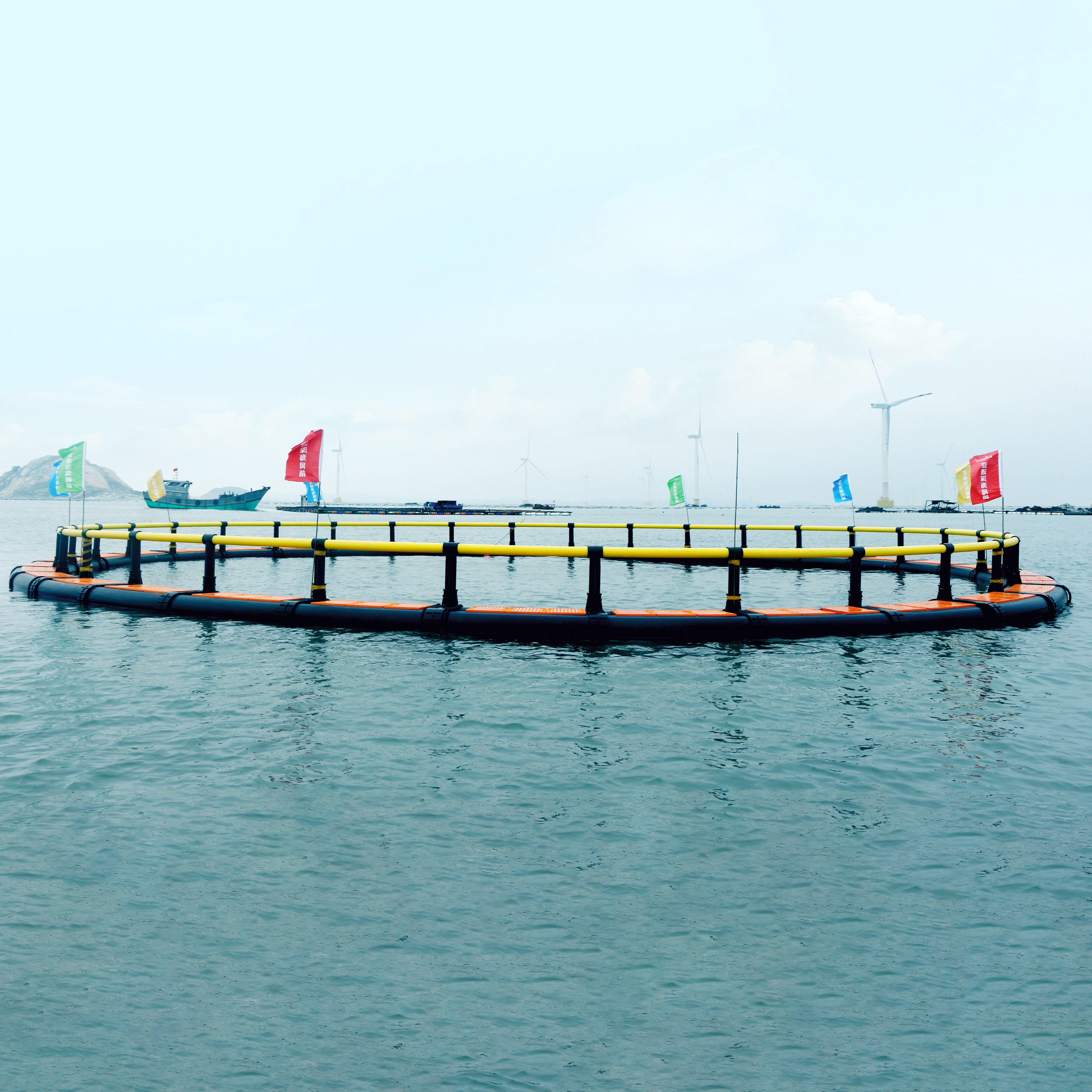 aquarium and bird cage