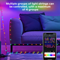 Guirlande lumineuse LED 5V WS2812B avec télécommande via application, étanche IP65, pour extérieur, Noël, fête