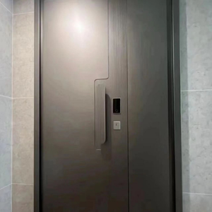 Porte d'entrée intérieure/extérieure de haute qualité Design moderne Porte anti-vol ignifuge plate en alliage de Zinc pour hôtel et villa - Product Image 2