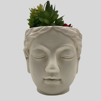Art nordique moderne visage en béton vases végétaux avec jardinière artificielle Statue ornement mat glaçure Pot de fleur salon décor à la maison